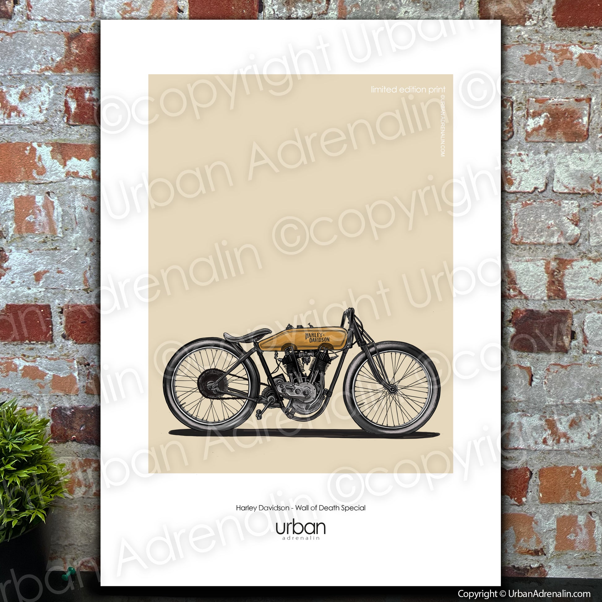 A poster featuring a classic Harley-Davidson motorcycle on a wall of death, with a beige background and the text 'Urban Adrenalin' and 'Harley Chop House Specials'.